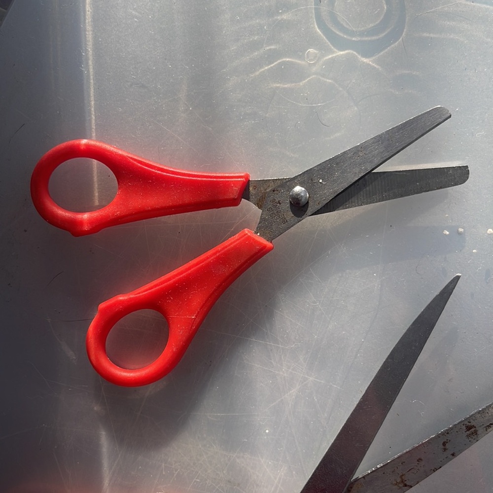 Scissors - Picture 3 of 6